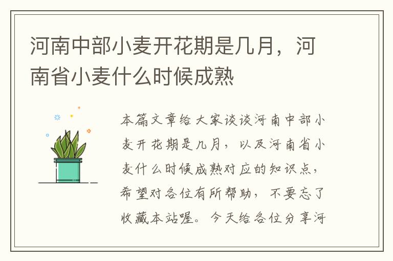 河南中部小麦开花期是几月，河南省小麦什么时候成熟