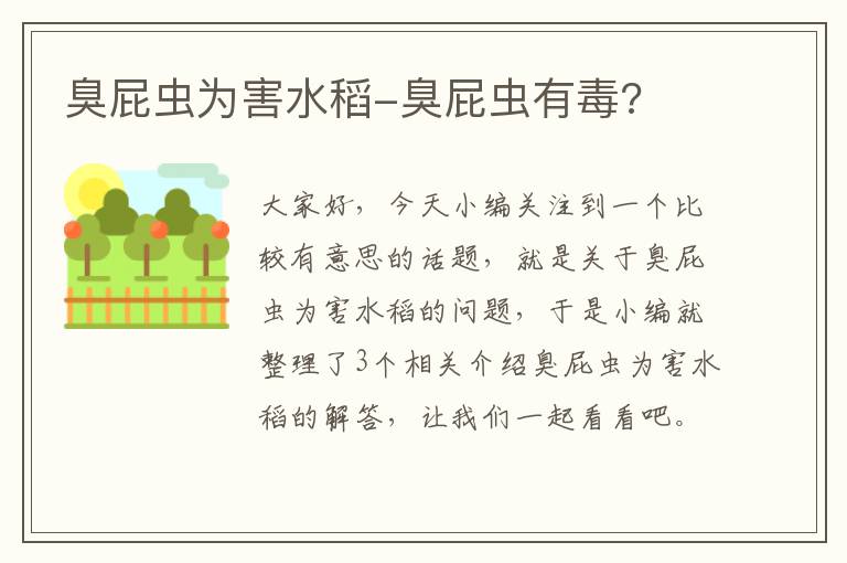 臭屁虫为害水稻-臭屁虫有毒?