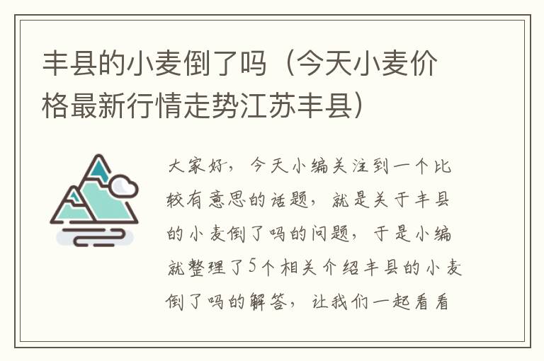 丰县的小麦倒了吗（今天小麦价格最新行情走势江苏丰县）