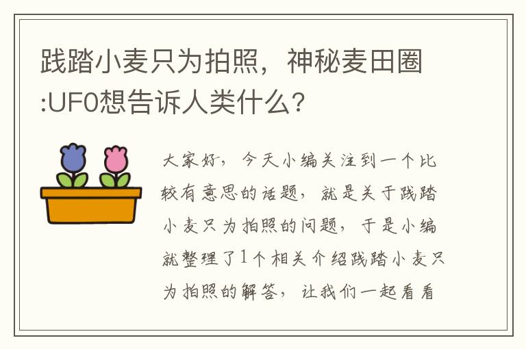 践踏小麦只为拍照，神秘麦田圈:UF0想告诉人类什么?