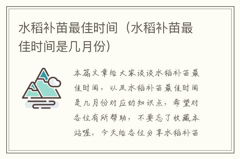 水稻补苗最佳时间（水稻补苗最佳时间是几月份）