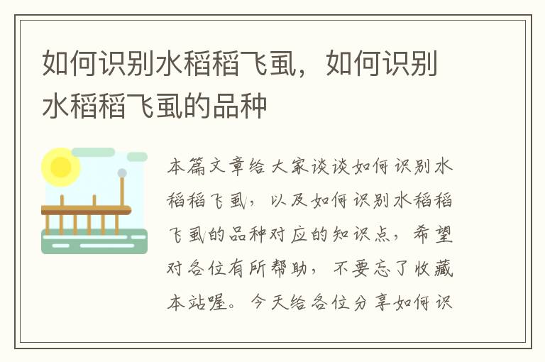 如何识别水稻稻飞虱，如何识别水稻稻飞虱的品种