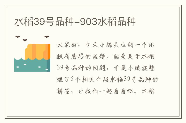 水稻39号品种-903水稻品种