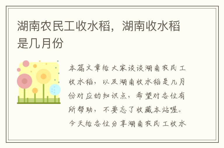 湖南农民工收水稻，湖南收水稻是几月份