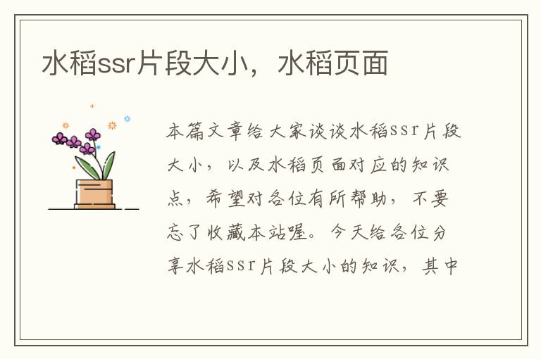 水稻ssr片段大小，水稻页面