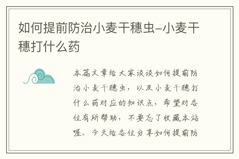 如何提前防治小麦干穗虫-小麦干穗打什么药