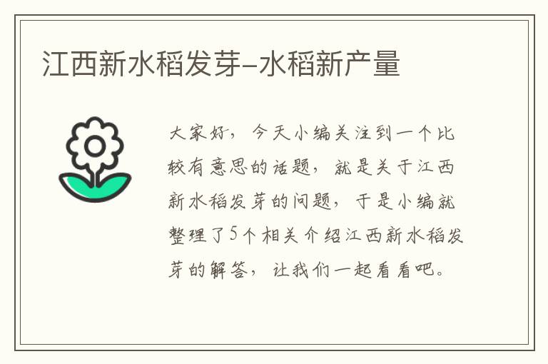 江西新水稻发芽-水稻新产量