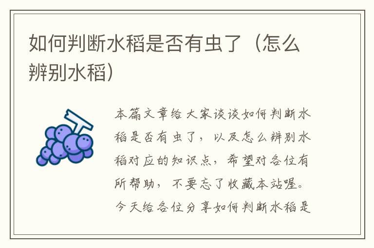 如何判断水稻是否有虫了（怎么辨别水稻）