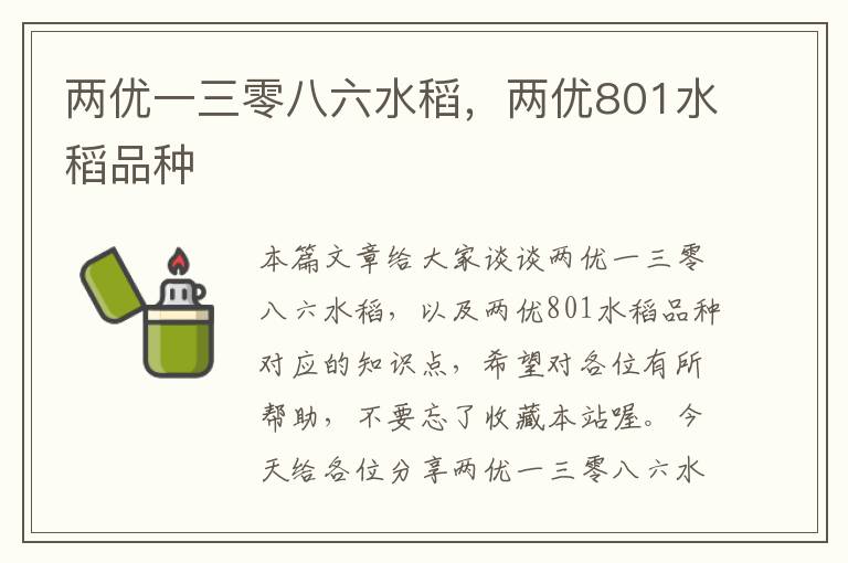 两优一三零八六水稻，两优801水稻品种