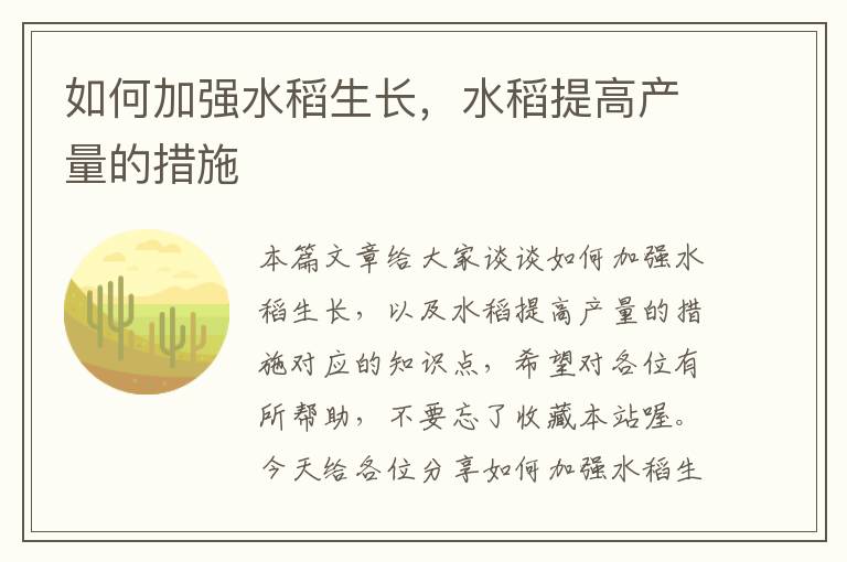 如何加强水稻生长，水稻提高产量的措施