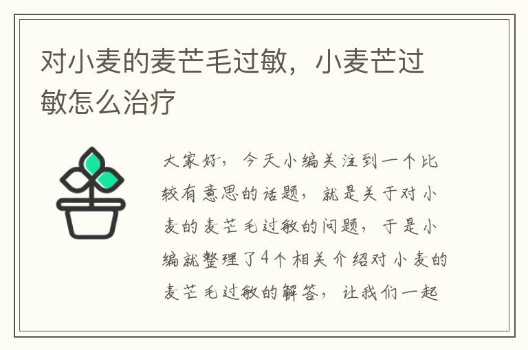 对小麦的麦芒毛过敏，小麦芒过敏怎么治疗