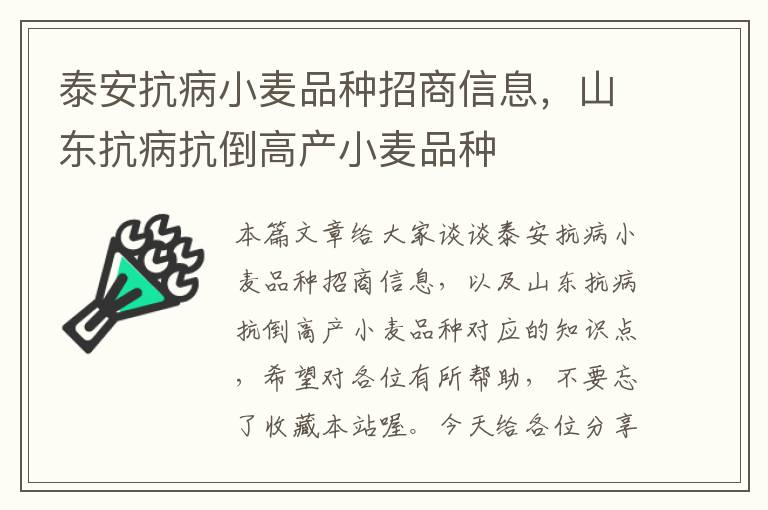 泰安抗病小麦品种招商信息，山东抗病抗倒高产小麦品种