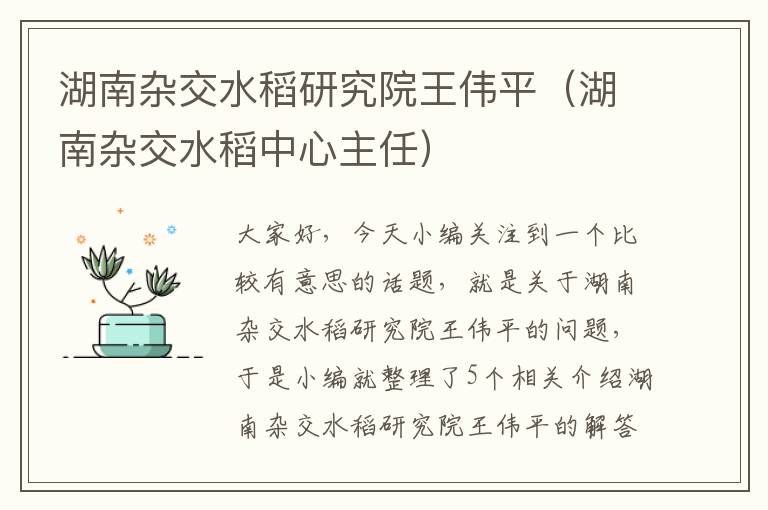 湖南杂交水稻研究院王伟平（湖南杂交水稻中心主任）