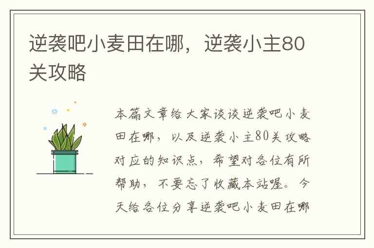 逆袭吧小麦田在哪，逆袭小主80关攻略