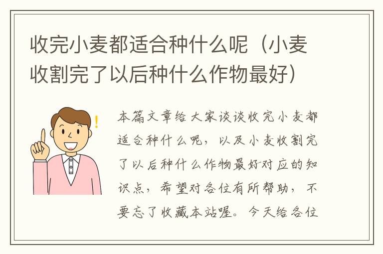 收完小麦都适合种什么呢（小麦收割完了以后种什么作物最好）