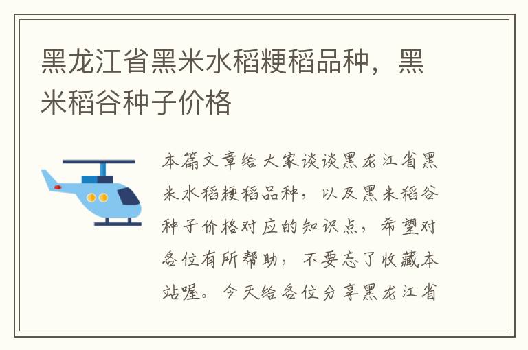 黑龙江省黑米水稻粳稻品种，黑米稻谷种子价格