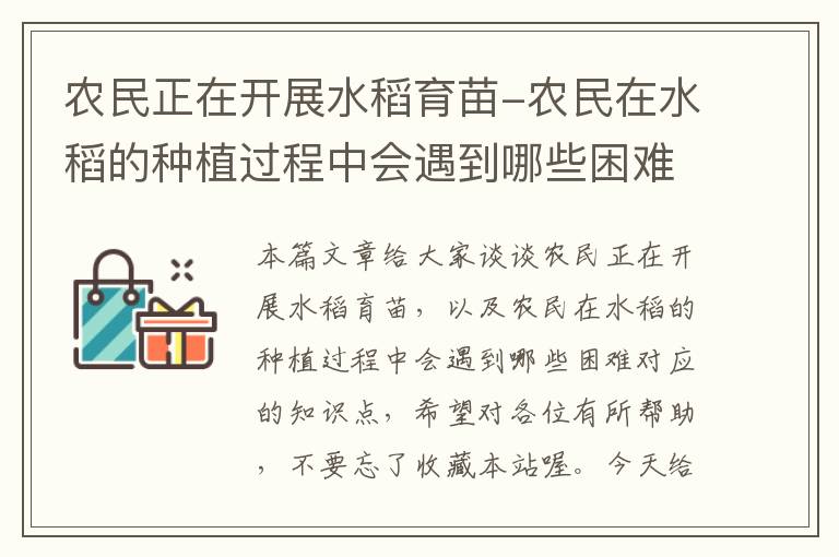 农民正在开展水稻育苗-农民在水稻的种植过程中会遇到哪些困难