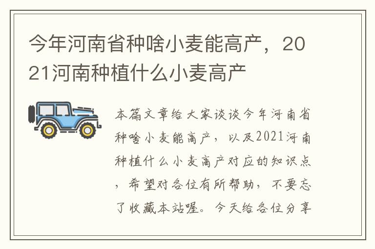 今年河南省种啥小麦能高产，2021河南种植什么小麦高产