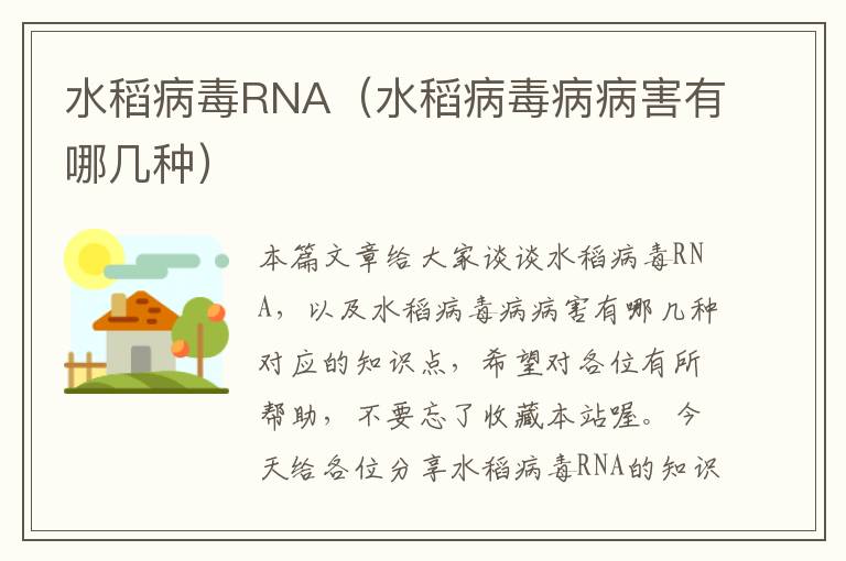 水稻病毒RNA（水稻病毒病病害有哪几种）