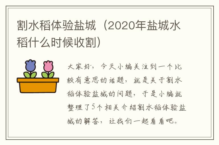 割水稻体验盐城（2020年盐城水稻什么时候收割）