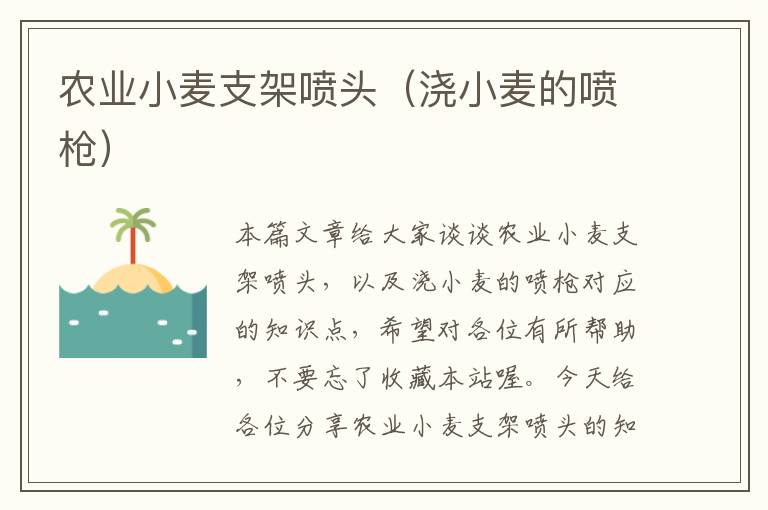 农业小麦支架喷头（浇小麦的喷枪）