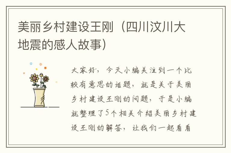 美丽乡村建设王刚（四川汶川大地震的感人故事）