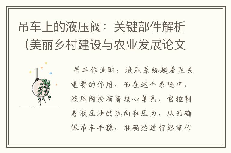 吊车上的液压阀：关键部件解析（美丽乡村建设与农业发展论文）