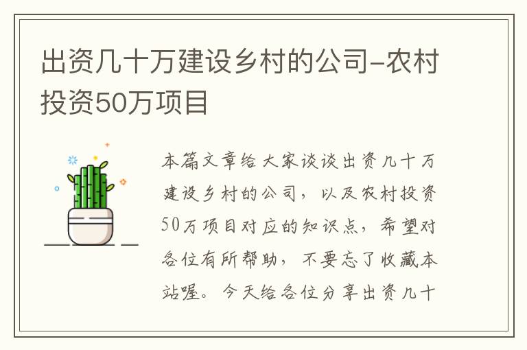 出资几十万建设乡村的公司-农村投资50万项目