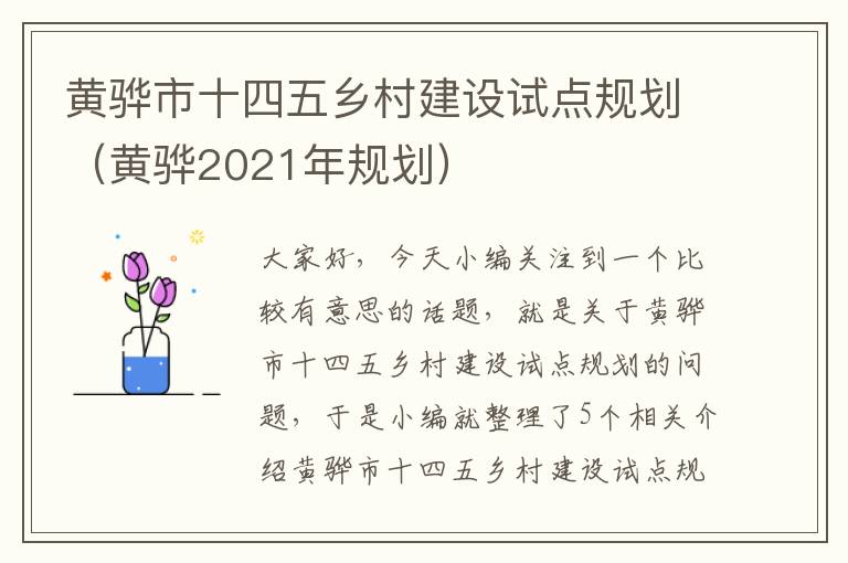 黄骅市十四五乡村建设试点规划（黄骅2021年规划）