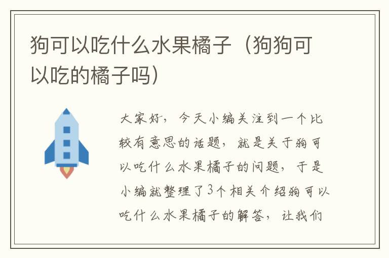 狗可以吃什么水果橘子（狗狗可以吃的橘子吗）