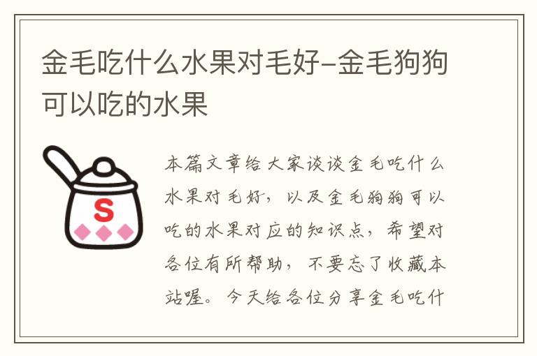 金毛吃什么水果对毛好-金毛狗狗可以吃的水果