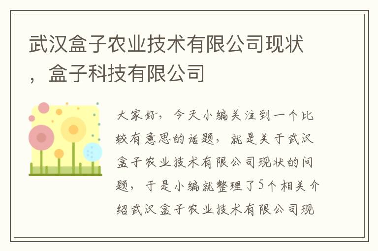 武汉盒子农业技术有限公司现状，盒子科技有限公司