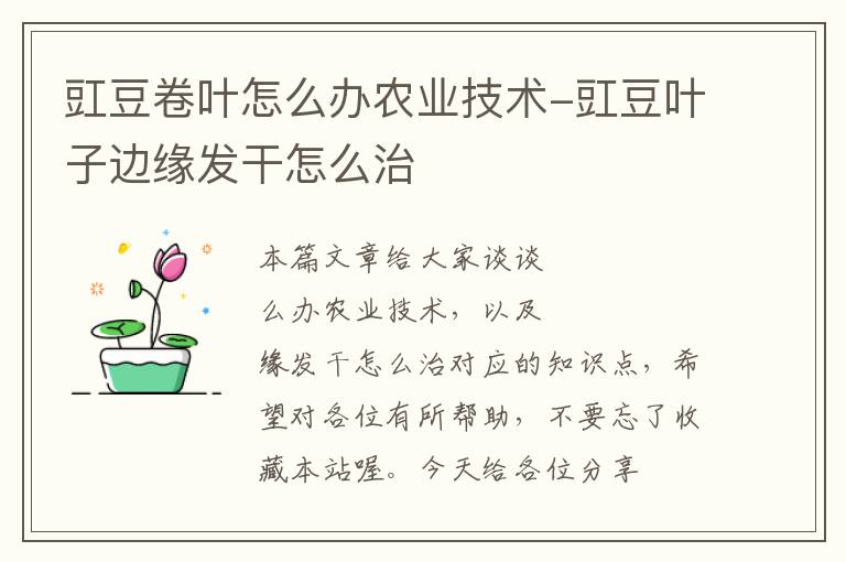 豇豆卷叶怎么办农业技术-豇豆叶子边缘发干怎么治