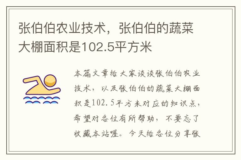 张伯伯农业技术，张伯伯的蔬菜大棚面积是102.5平方米