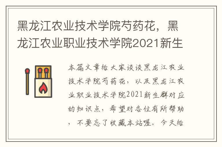 黑龙江农业技术学院芍药花，黑龙江农业职业技术学院2021新生群