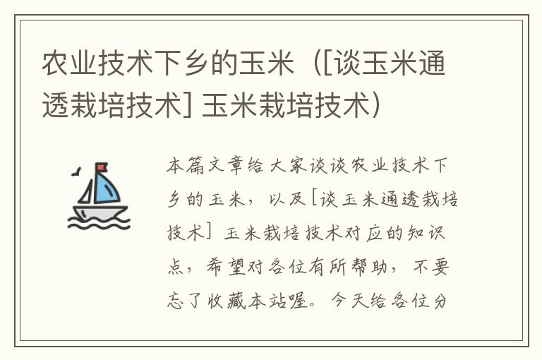 农业技术下乡的玉米（[谈玉米通透栽培技术] 玉米栽培技术）