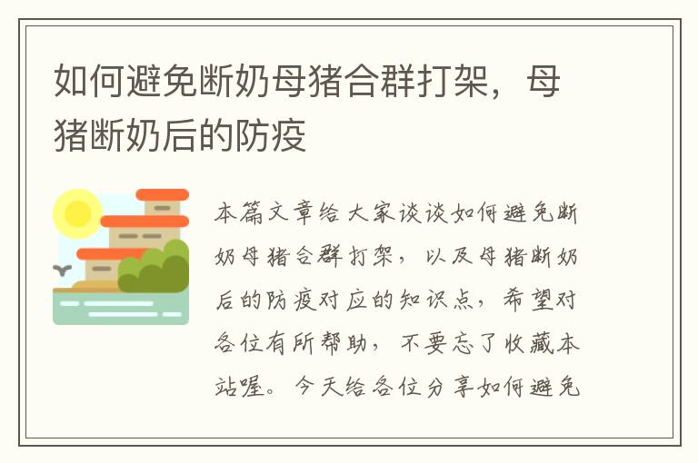 如何避免断奶母猪合群打架，母猪断奶后的防疫