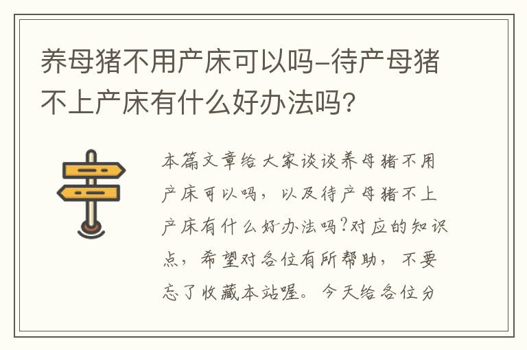 养母猪不用产床可以吗-待产母猪不上产床有什么好办法吗?