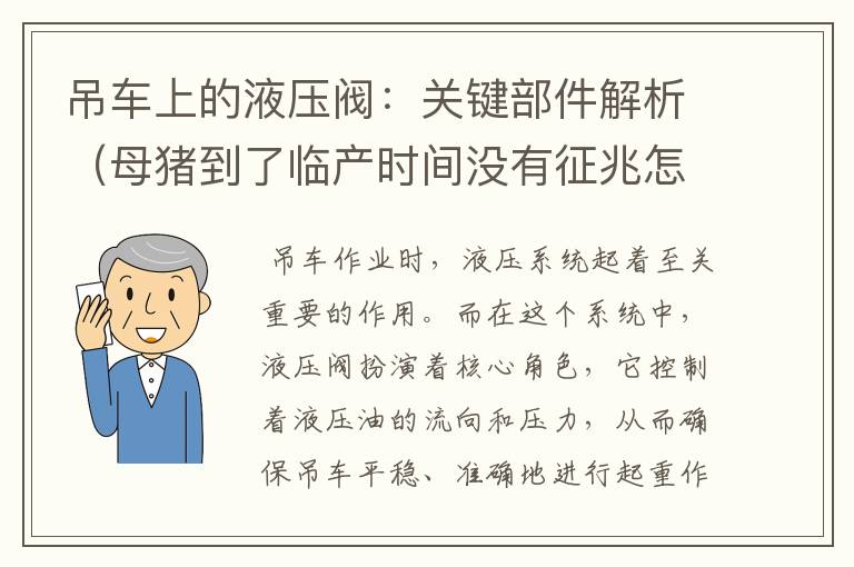 吊车上的液压阀：关键部件解析（母猪到了临产时间没有征兆怎么回事）