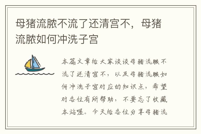 母猪流脓不流了还清宫不，母猪流脓如何冲洗子宫