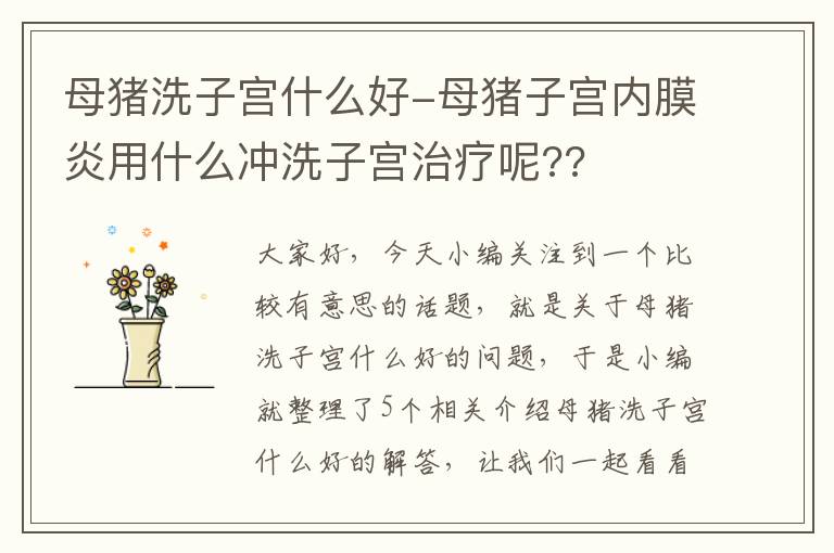 母猪洗子宫什么好-母猪子宫内膜炎用什么冲洗子宫治疗呢??