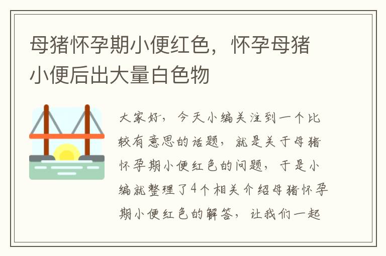 母猪怀孕期小便红色，怀孕母猪小便后出大量白色物