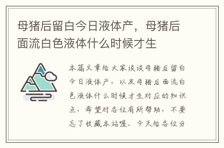 母猪后留白今日液体产，母猪后面流白色液体什么时候才生