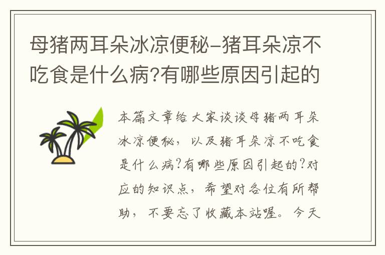 母猪两耳朵冰凉便秘-猪耳朵凉不吃食是什么病?有哪些原因引起的?