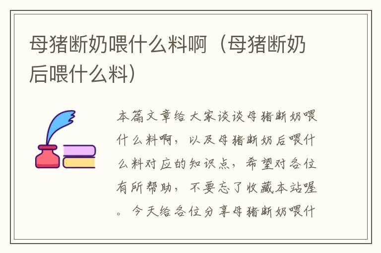 母猪断奶喂什么料啊（母猪断奶后喂什么料）