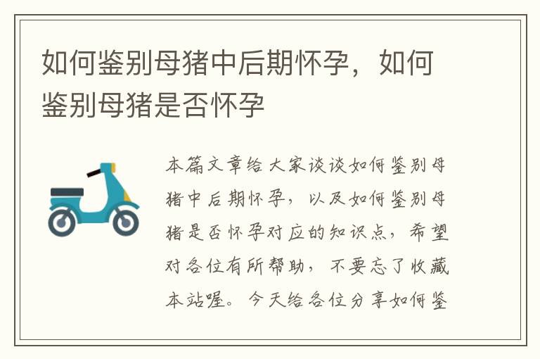 如何鉴别母猪中后期怀孕，如何鉴别母猪是否怀孕