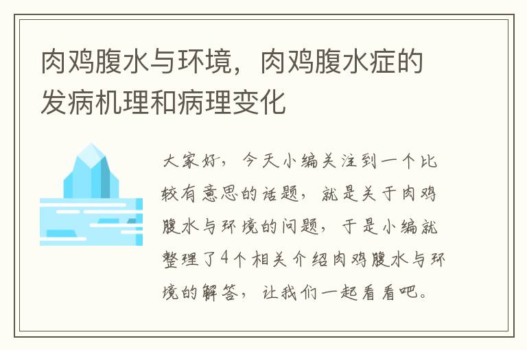 肉鸡腹水与环境，肉鸡腹水症的发病机理和病理变化