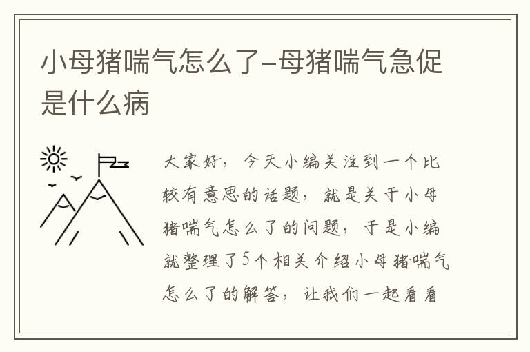 小母猪喘气怎么了-母猪喘气急促是什么病