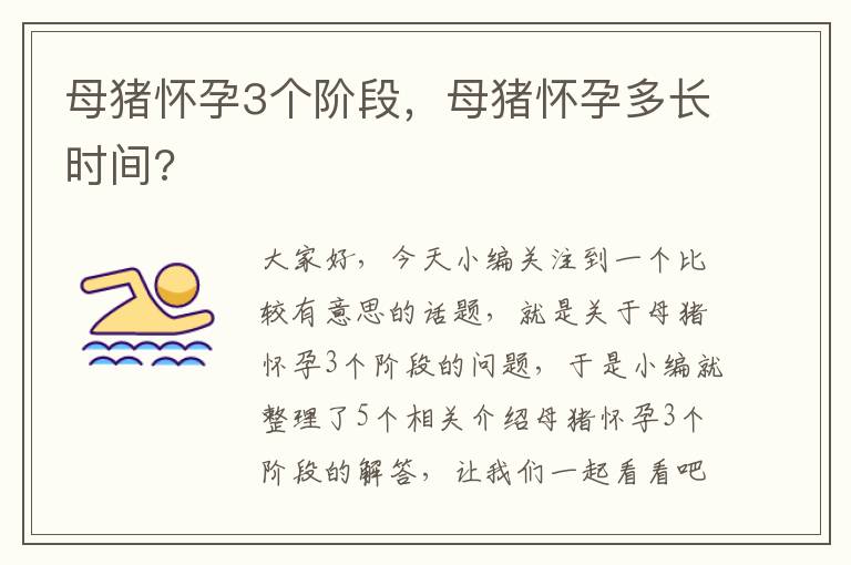 母猪怀孕3个阶段，母猪怀孕多长时间?