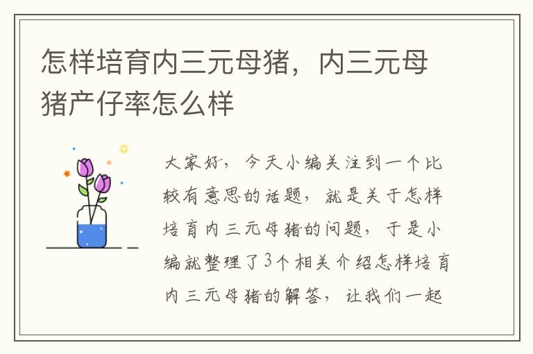 怎样培育内三元母猪，内三元母猪产仔率怎么样